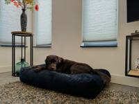 Dog's Companion® Hondenbed donkerblauw double ribcord extra small