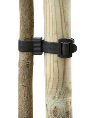 Boomband met gesp 45x2,5cm - Nature