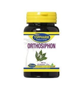 Orthosiphon