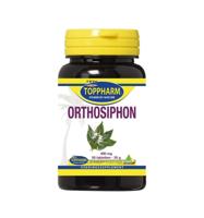 Orthosiphon