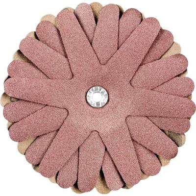 PFERD TOOLS 42732166 Schuursterren Diameter 100 mm 10 stuk(s)