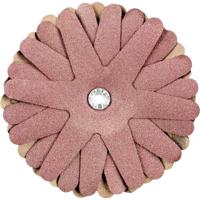 PFERD TOOLS 42732166 Schuursterren Diameter 100 mm 10 stuk(s)