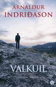 Valkuil (Paperback)