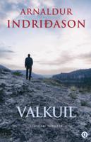 Valkuil (Paperback)