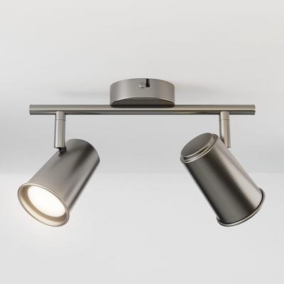 Riga LED plafondlamp - 2 spots - GU10 - Draaibaar en Kantelbaar - 10 Watt 800 lumen - 4000K neutraal wit - Dimbaar - Plafondspot - Voor binnen - RVS