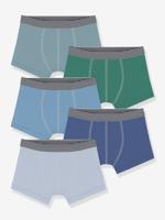 Set van 5 effen boxershorts PETIT BATEAU wit