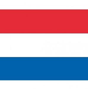 Vlag van Nederland stickers - 7.5 x 10 cm - Binnen/buiten