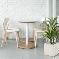 Draceana kunstplant 80cm - bont