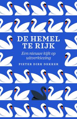 De hemel te rijk (Paperback)