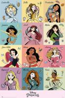 Poster Disney - Princess Brush Strokes 61x91,5cm