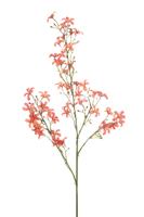Saxifraga spray coral 93 cm Emerald - Emerald