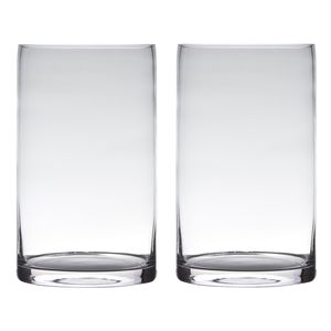 Set van 2x stuks transparante home-basics cylinder vorm vaas/vazen van glas 25 x 15 cm