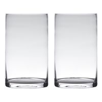 Set van 2x stuks transparante home-basics cylinder vorm vaas/vazen van glas 25 x 15 cm