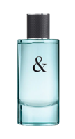 Tiffany & Co Tiffany Love For Him Eau de Toilette 90ml