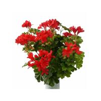 Kunstbloemen boeketje Oostenrijkse geranium - Set van 4x stuks - rood - 40 cm