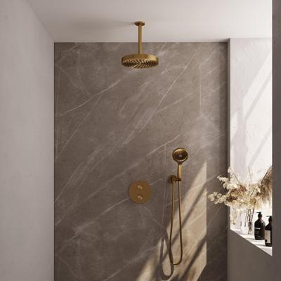 BRAUER Stripe Thermostatische Inbouw Regendouche - 3-weg - rond - SET 42 - 25cm douchekop - plafondarm - 3-standen handdouche - doucheslang - wandaansluitbocht - goud geborsteld PVD 5-GG-447