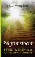 Pelgrimstocht - Cees Vreugdenhil - ebook - thumbnail
