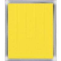 Thermal Grizzly Kapton Insulation Sheet