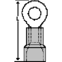 Molex 190670003 Ringkabelschoen 1 stuk(s) - thumbnail