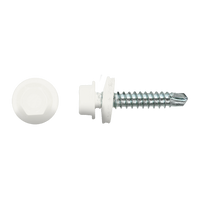 pgb-Europe PGB-FASTENERS | Zelfborende schroef bp1 4,8x35 Zn R9016 ZBG141001004890163