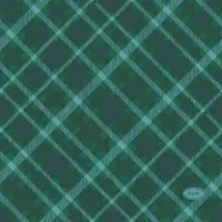 Duni 3-laags tissue servet tartan 24x24cm groen 20 stuks