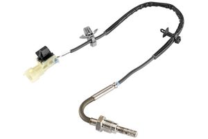 Sensor, uitlaatgastemperatuur A2C59507503Z