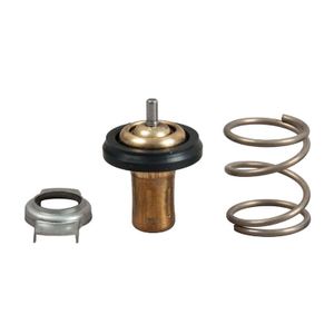 Thermostaat, koelvloeistof TH49288G1