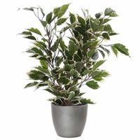 Groen/witte ficus kunstplant 40 cm met plantenpot zilver metallic D13.5 en H12.5 cm - thumbnail