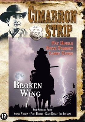 Broken Wing - DVD (8717377005232)