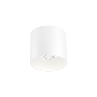 Wever & Ducre - RAY 1.0 PAR16 Plafondlamp