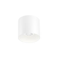 Wever & Ducre - RAY 1.0 PAR16 Plafondlamp