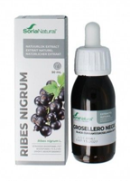 Soria Natural Ribes Nigrum XXI Extract