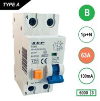 SEP Aardlekautomaat 63A B Kar 100mA 2 polig 36mm RCM2 Kema Keur 230V automaat en aardlek in een