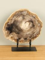 Schijf versteend hout op standaard nr. 19