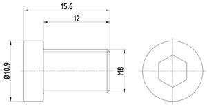 Montageschroef PAG0009 8DZ355209091