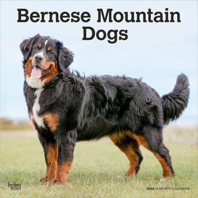 Berner Sennen Kalender 2026