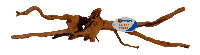 Spiderwood X-Large aquaria - Superfish