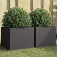 VidaXL Plantenbakken 2 st 32x30x29 cm staal zwart