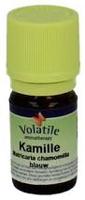 Volatile Kamille blauw