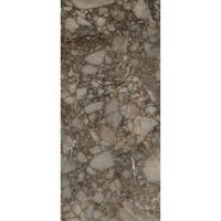 Douglas & Jones Vloertegel 120x280 cm Magnum Mat Riverbed - Vloertegel 120x280 cm Magnum Mat Riverbed (prijs Per Tegel)
