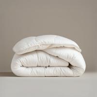 Dekbed Winterdekbed All Season - Winter & All Season - 240x200 Cm (Lits-Jumeaux) - Luna Bedding 325 Gram - Dekbed-Discounter.nl