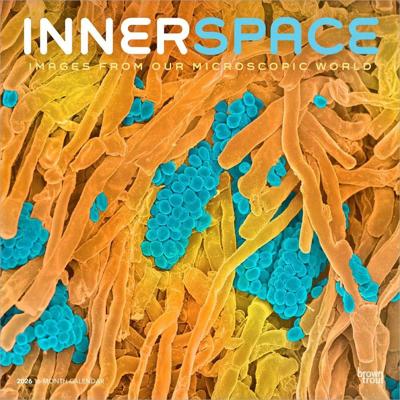 Innerspace Kalender 2026