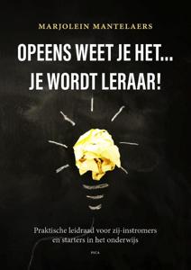 Opeens weet je het … je wordt leraar! (Paperback)