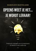Opeens weet je het … je wordt leraar! (Paperback)
