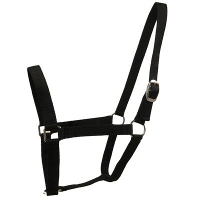 Budget Rider Basic II halster zwart maat:full
