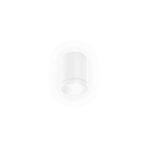 Wever & Ducre - Taio ROUND IP65 SURFACE 1.0 Spot