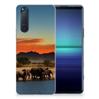 Sony Xperia 5II | TPU Hoesje | Olifanten