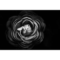 Inductiebeschermer - Black Flower - 91.2x52 cm