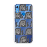Cats: Huawei Y6s Transparant Hoesje