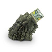 Back Zoo Nature corky chew